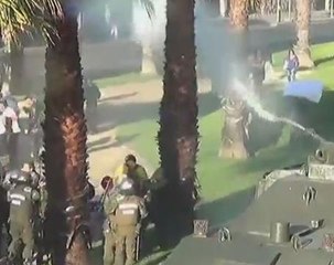 Chile pushes new Pacific trade path as protests break out at TPP talks