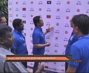 Senarai anak muda yang boleh jadi calon BN PRU14