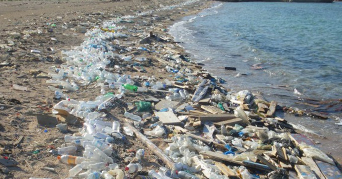 Ideonella sakaien­sis: Dieses Hoffnungsmittel könnte uns vom Plastikmüll in den Ozeanen befreien