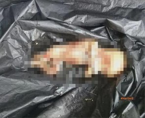 Janin dijumpai tersangkut di jeriji loji rawatan kumbahan