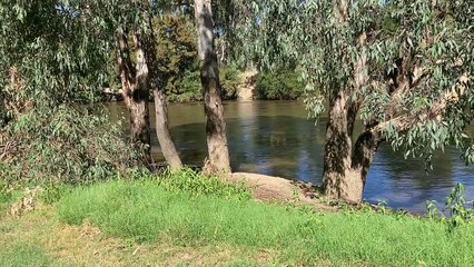 High water at Oura Beach | March 2022 | The Daily Advertiser