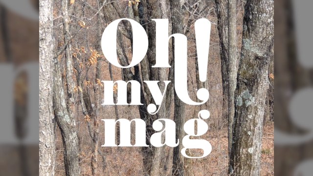 Internet Users Are Going Crazy Looking For The 'Invisible Leopard' In This Photo