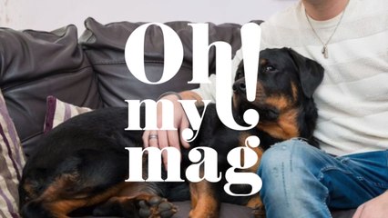 Man Suddenly Experienced Internal Bleeding, Then His Dog Did Something Amazing!