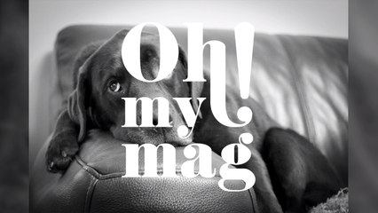 This mistreated dog's makeover will leave you stunned