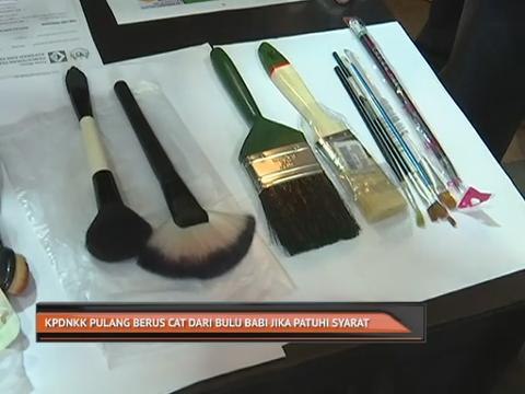 KPDNKK pulang berus cat dari bulu babi jika patuhi syarat