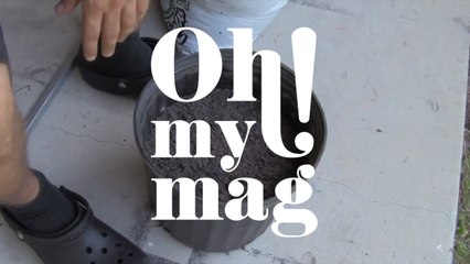 Amazing Video Shows How You Can Grow Your Own Tomatoes Using Something That's Currently In Your Kitchen