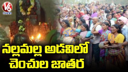 Tribal's Festival Chenchula Jatara At Nallamala Forest _ Kurnool _ V6 news