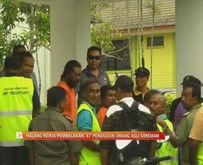 Halang kerja pembalakan,47 penduduk  Orang Asli direman