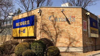 Foreign embassies in Beijing show support for Ukraine