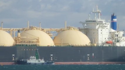 우크라 사태에 에너지 확보 '비상'...日, 원전 재가동 본격 추진 / YTN