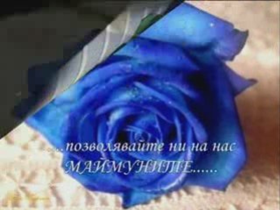 Rebel_8mart_