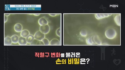 [실험] '손 사용법' 실천 20분 후 생긴 놀라운 변화