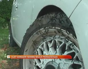 Ulat bulu serang majlis perkahwinan