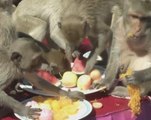 Thai town puts on feast for local monkeys