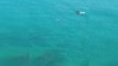 Son dakika haberi... Antalya'da başıboş denizanası istilası... Antalya kıyılarında denizanası yoğunluğu kameralara yansıdı
