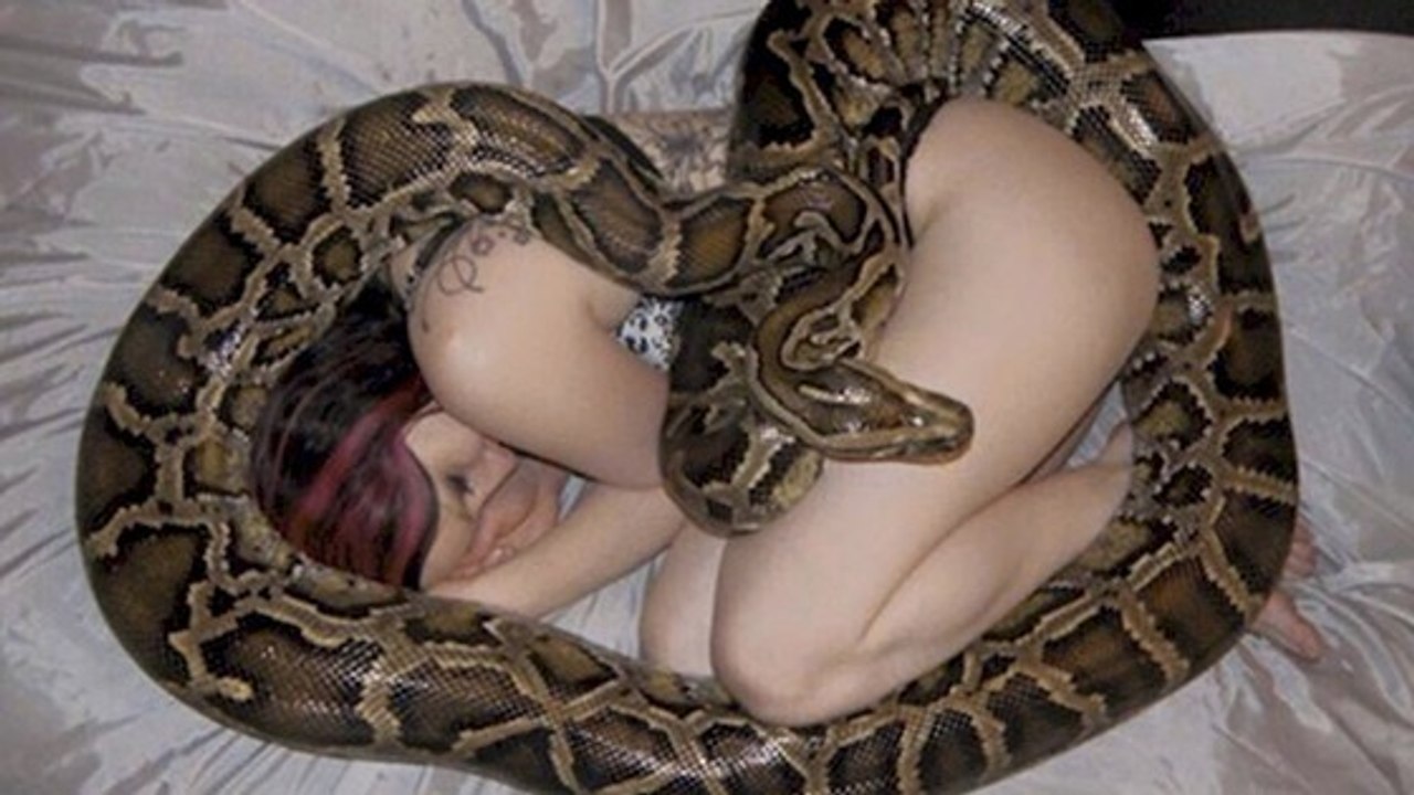 Frau lässt ihre Python ins Bett: Dann macht sie eine furchtbare Entdeckung