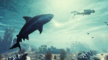 Maneater : le jeu qui mélange GTA et les Dents de la mer présenté à l'E3 2019