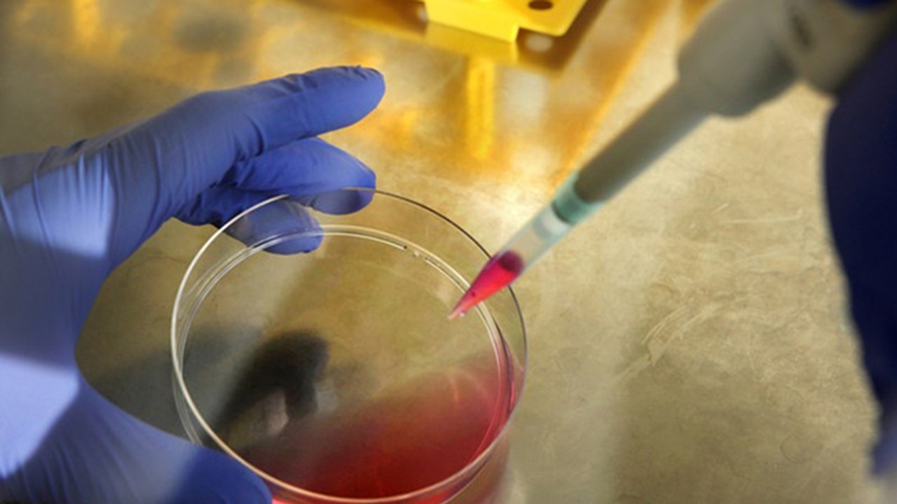 Krebsforschung: Die Lösung steckt die ganze Zeit in unseren Zellen