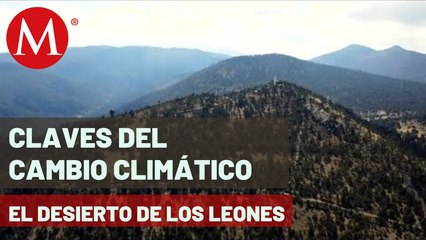 El Desierto de los Leones, hogar de al menos 136 especies de animales | Claves del cambio climático