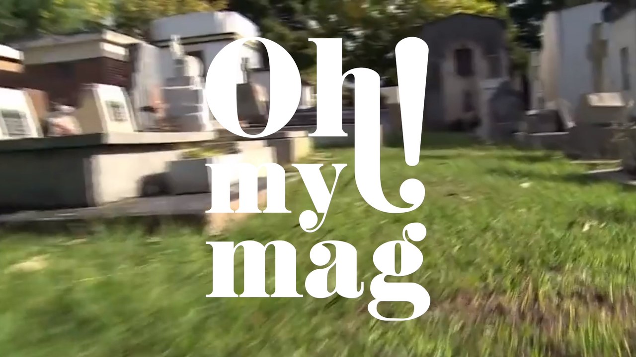 Hund besucht 11 Jahre lang das Grab seines Herrchens: Doch dann nimmt die Geschichte eine traurige Wendung