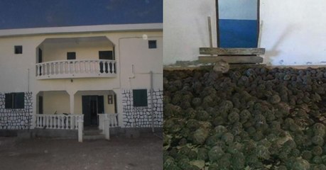 Schildkröten in Massen in Haus auf Madagaskar entdeckt
