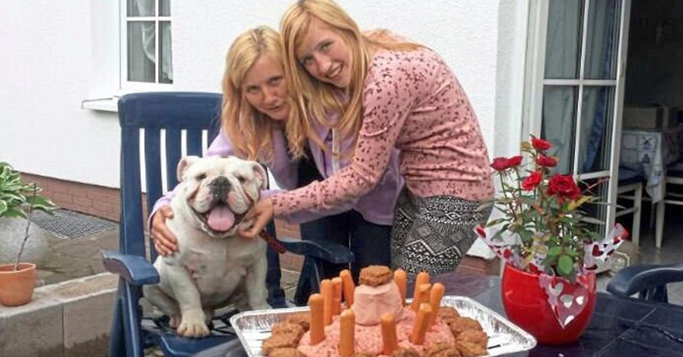 Das gab's noch nie: Deutsche Familie lässt ihren Hund klonen!