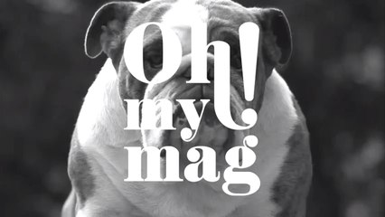 English bulldogs could soo disappear and it's out fault