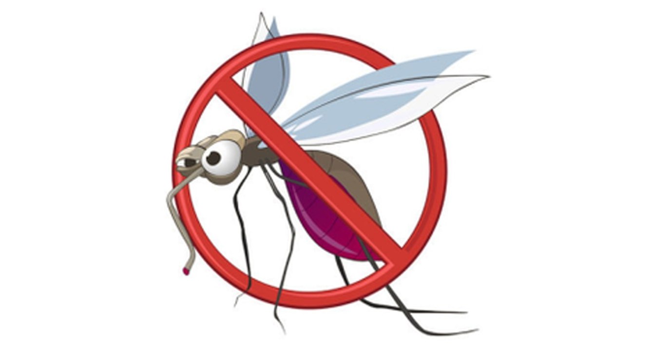 Mücken loswerden im Sommer: Die wichtigsten Dos and Don'ts