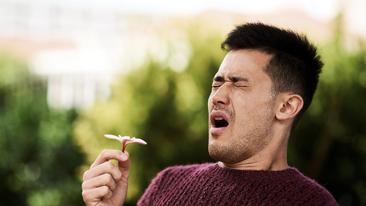 Mann leidet jahrelang an Heuschnupfen: Dann heilt er sich auf schmerzliche Weise selbst