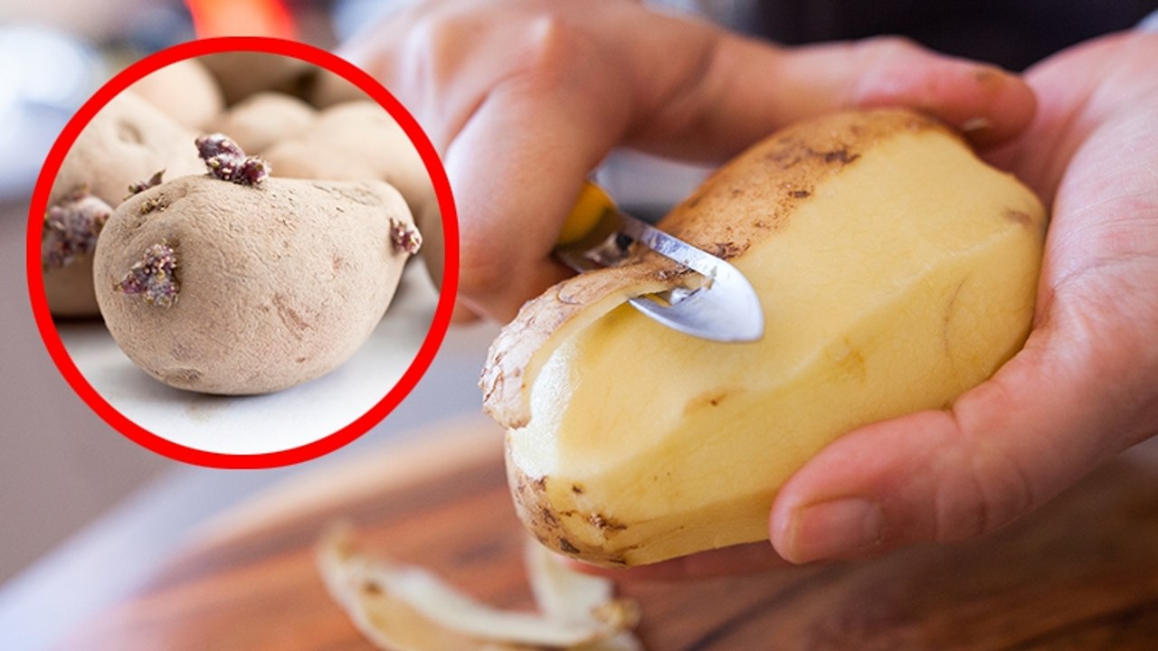 Keimende Kartoffeln: Fast alle machen denselben Fehler!