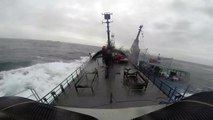 Chasse à la baleine : un navire de Sea Shepherd percute un baleinier japonais