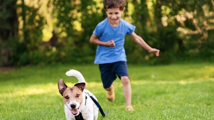 Für ein Video: Mutter zwingt ihr Kind zu intimer Geste mit Hund