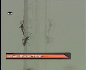 Bilangan kes denggi catat penurunan