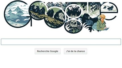 Dian Fossey : un Doodle Google hommage pour les 82 ans de la célèbre éthologue
