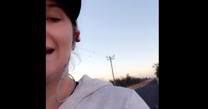 Frau will Hilfe suchen für verlassene Kitten: Dann folgt ihr eine Horde