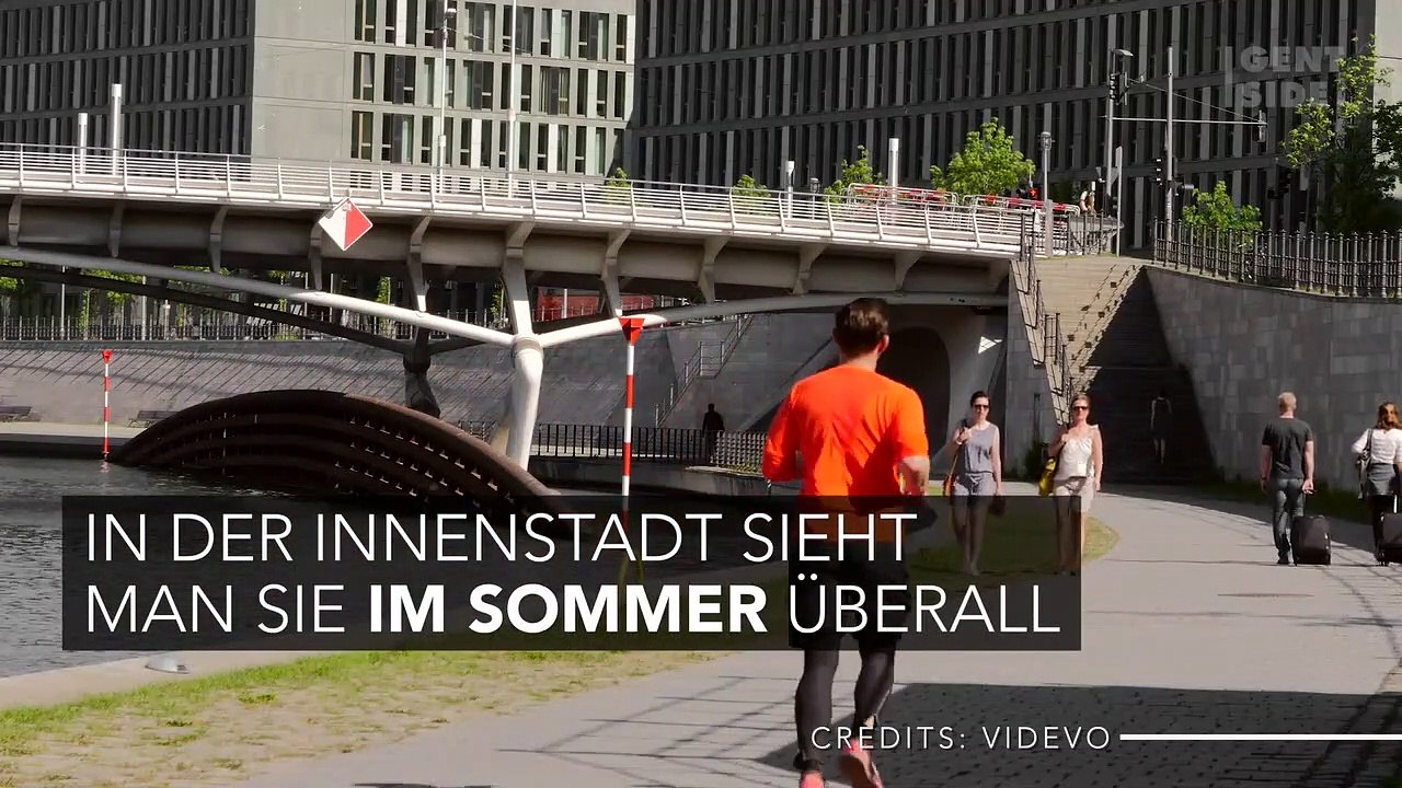 Uncool, aber gesund: Warum du unbedingt Socken in Sandalen tragen solltest