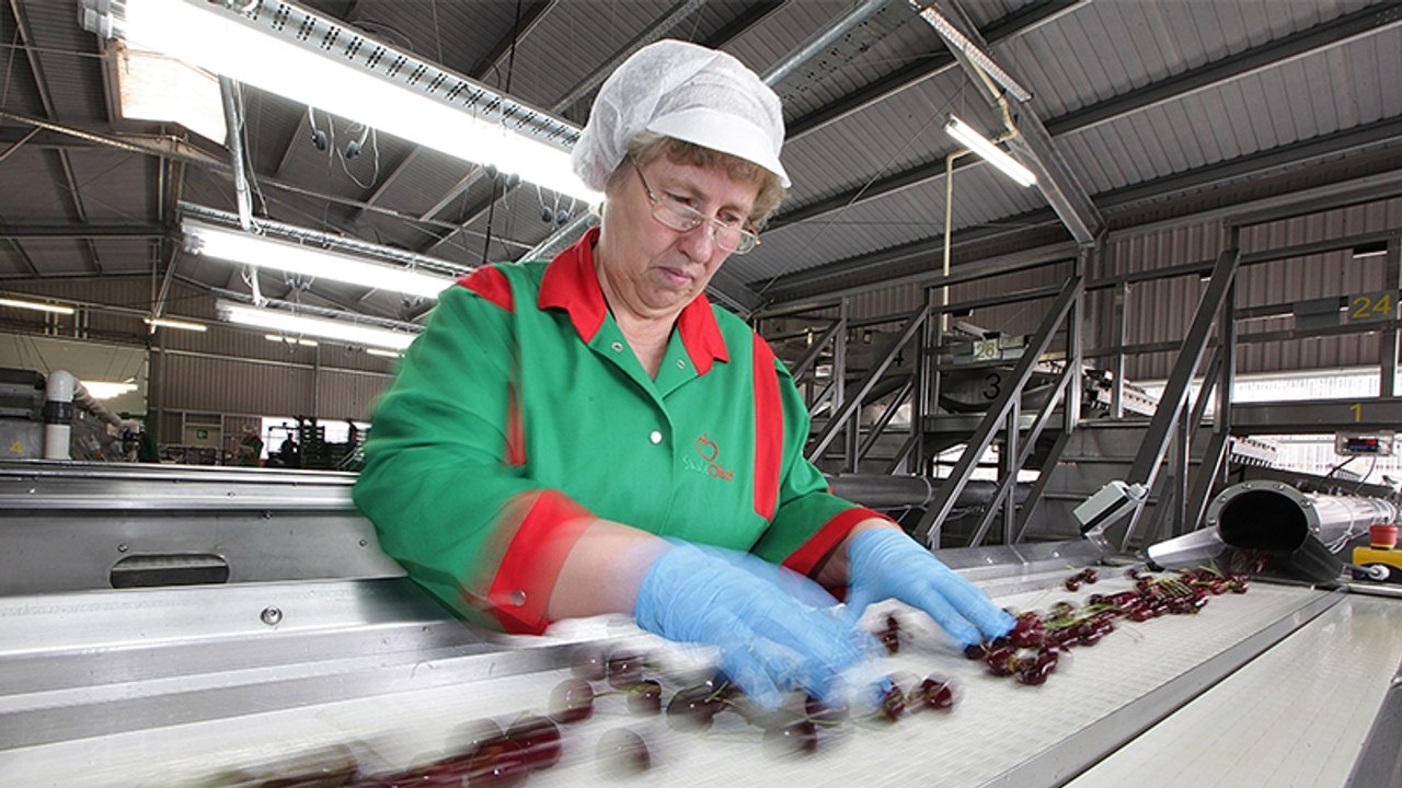 Selbst in kleinsten Mengen: Industriell verarbeitetes Lebensmittel fördert Sterberisiko