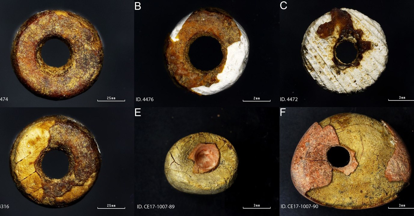 Archäologie bestätigt: In der Urzeit beherrschte der Mensch bereits Betrug
