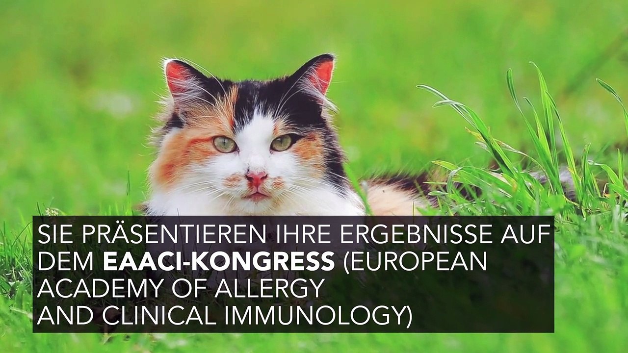 Katzenallergie: Forscher finden vermutlich bald Lösung für Betroffene