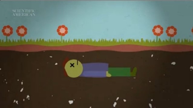 Science : que devient vraiment le corps après la mort ?