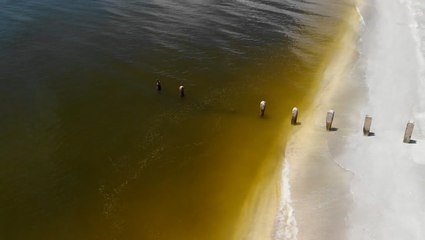 Experts developing index for Red Tide blooms