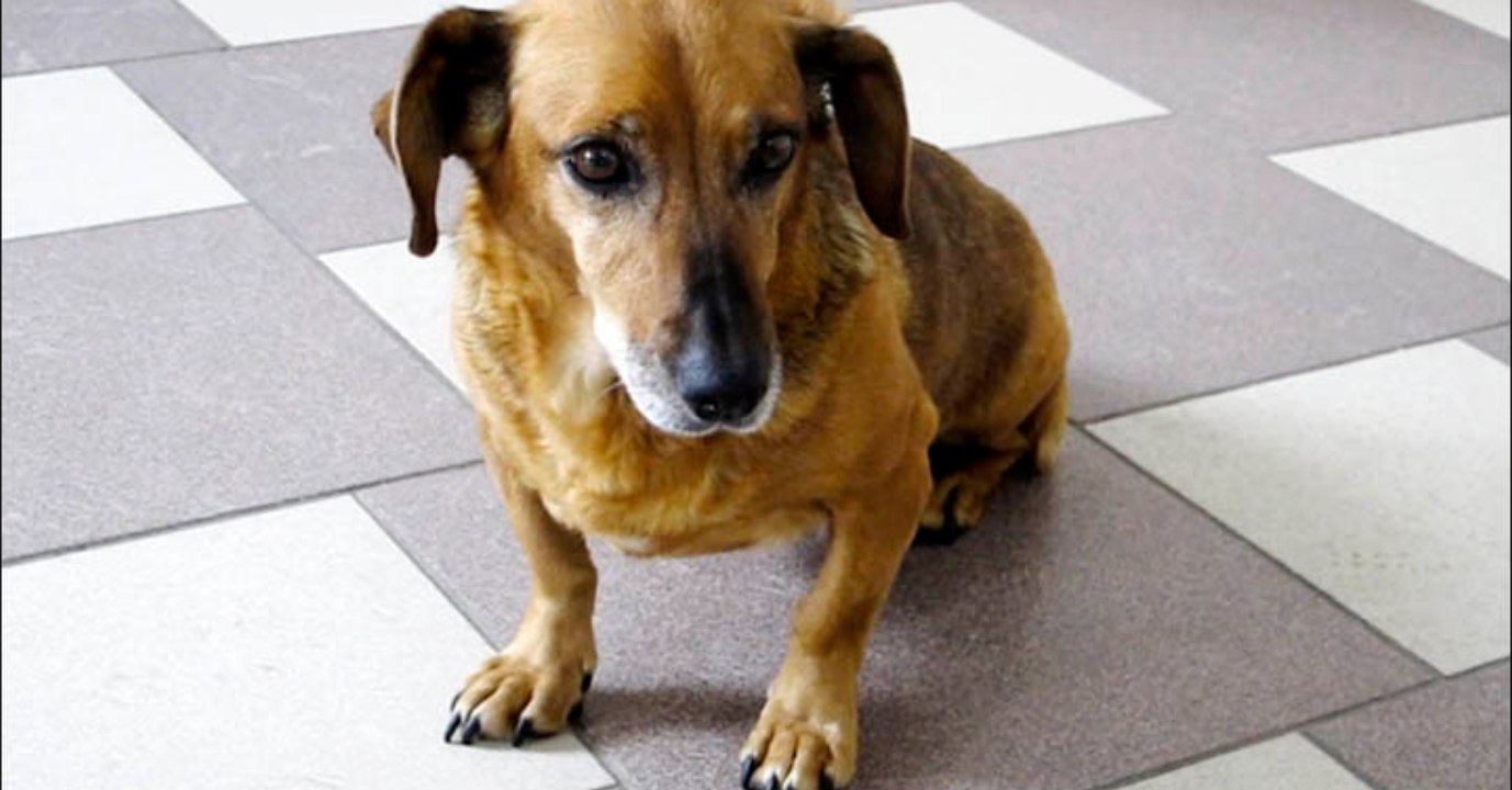 Masha wartet aus einem bestimmten Grund ein Jahr lang vor dem Krankenhaus