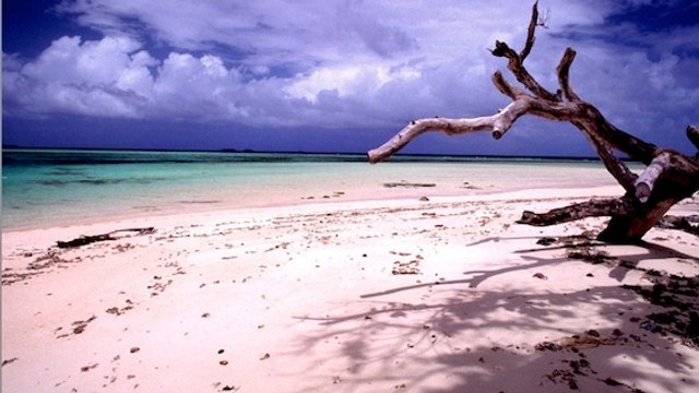 Des squelettes de soldats japonais exhumés par la montée des eaux dans les îles Marshall