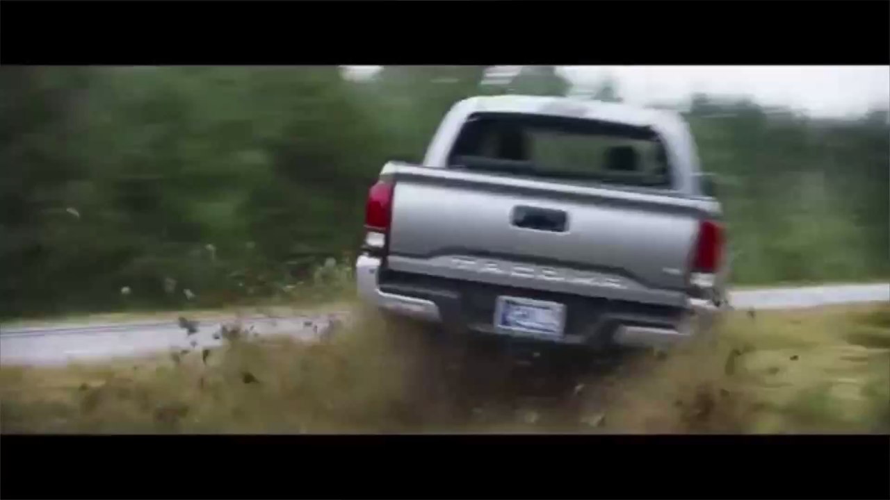 Sonic : un record du meilleur démarrage pour une adaptation cinématographique d'un jeu vidéo pour le hérisson de SEGA !