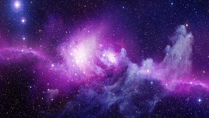 Wissenschaftliche These überrascht: Diese Tiere stammen aus dem All