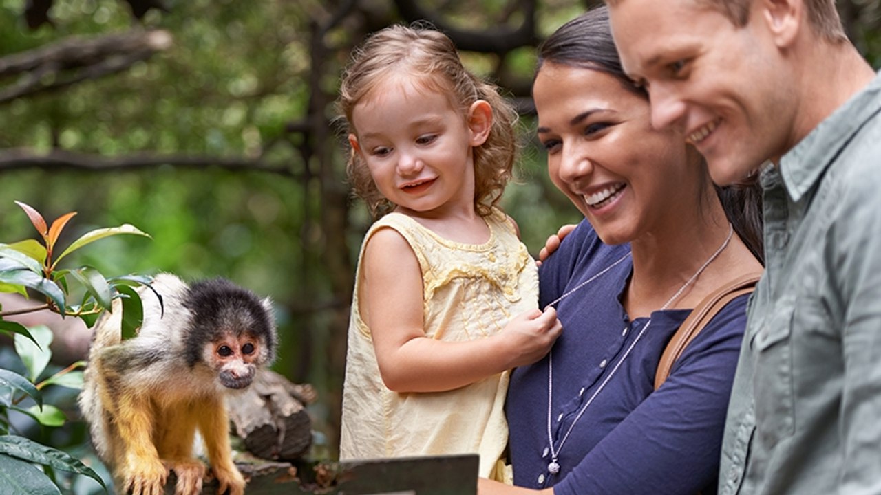 Fotobombe: Erst nach dem Urlaub sieht die Familie, welches Tier sich aufs Bild geschmuggelt hat
