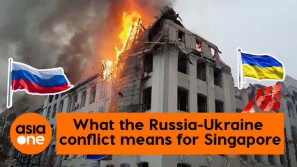 TLDR: What the Russia-Ukraine conflict means for Singapore