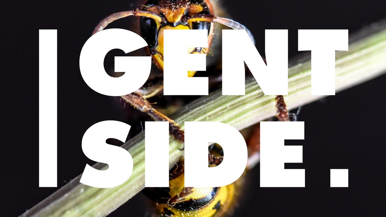 Mann rastet aus und attackiert Wespen mit Bunsenbrenner