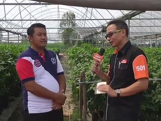 Transformasi daya saing usahawan tani