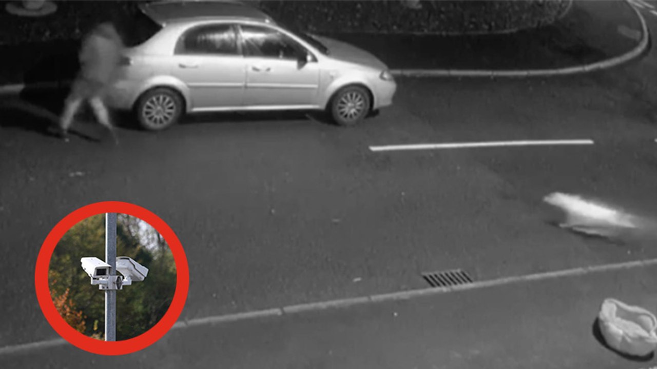 Vor laufender Kamera: Mann setzt Hund aus, doch der Vierbeiner gibt nicht auf